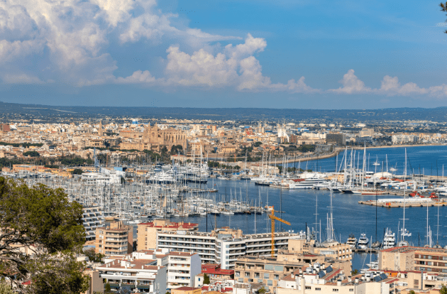 Palma International Boat Show 2024 - OceanWeb Ltd